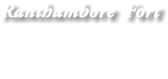 Ranthambore Fort 