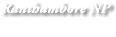 Ranthambore NP
