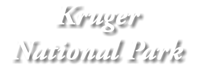 Kruger National Park
