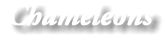 Chameleons