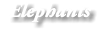 Elephants