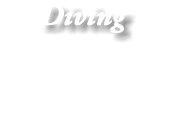 Diving 